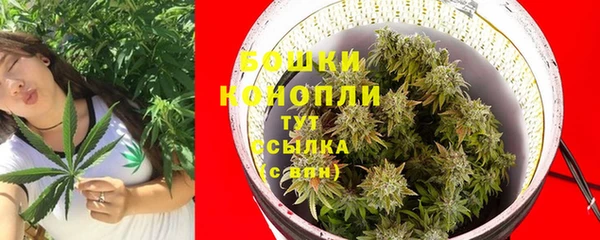 стафф Надым